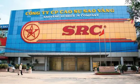 Vì sao Cao su Sao Vàng tăng 21% lợi nhuận sau kiểm toán?