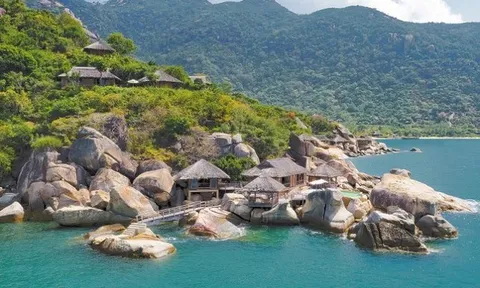Ninh Vân Bay thay Tổng giám đốc