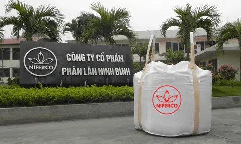 Phân lân Ninh Bình (NFC) bị xử phạt thuế lần thứ 2 liên tiếp trong chưa đầy nửa tháng