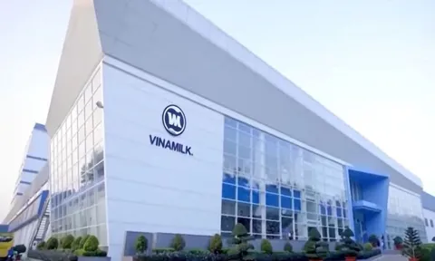 Doanh thu thị trường nội địa giảm khiến lãi ròng Vinamilk đi lùi 29%