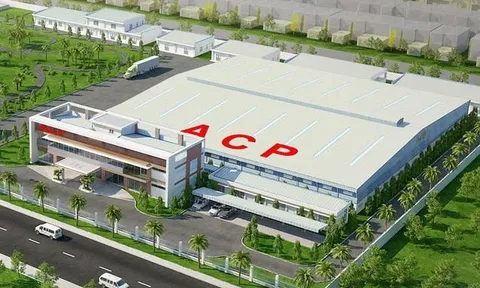 Giá dừa tăng nhanh như giá vàng, ‘đại gia’ dừa doanh thu gần nghìn tỷ báo lãi giảm 23%