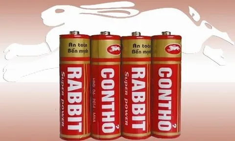 Chủ thương hiệu Pin Con Thỏ chuẩn bị trả cổ tức lớn