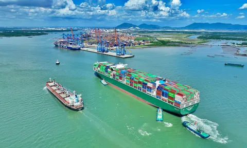 Chuyển đổi xanh ngành vận tải biển: Hành trình không thể đảo ngược