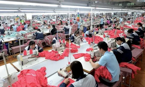 Chốt lời cổ phiếu MSH: FPTS vừa bán vừa chờ thêm cơ hội?