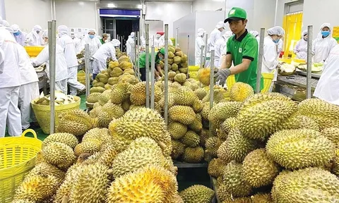 Doanh nghiệp đẩy mạnh xuất khẩu, tăng tốc về đích 6 tháng cuối năm 2025