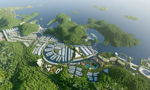 Vinaconex thoái bớt vốn tại dự án Cát Bà Amatina