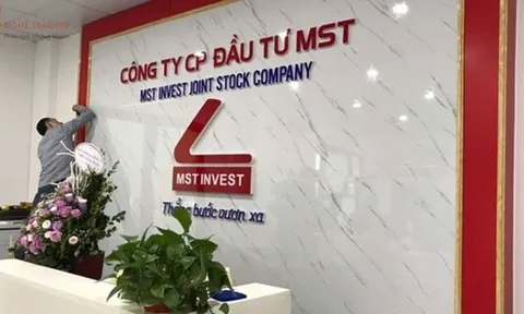 Đầu tư MST sắp trả cổ tức bằng cổ phiếu tỷ lệ 10%