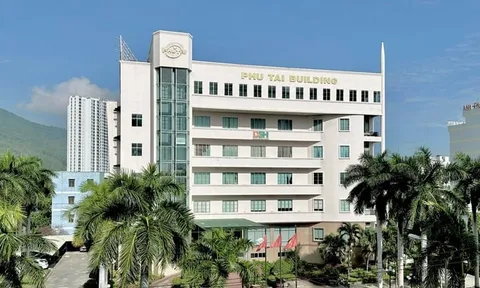 Phú Tài lên kế hoạch chào bán cổ phiếu PTB