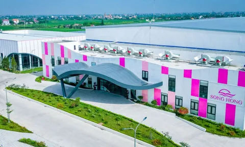 FPTS giảm sở hữu tại May Sông Hồng