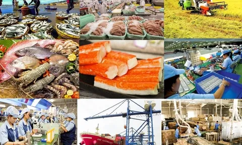 Xuất khẩu hàng hóa Việt Nam khởi sắc trong 7 tháng qua