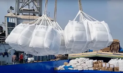 Xuất khẩu gạo Việt Nam không chịu tác động tiêu cực từ việc Philippines tạm ngưng nhập khẩu