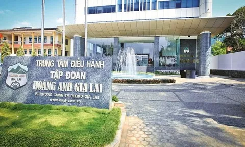 Con trai bầu Đức ‘gom’ thành công 27 triệu cổ phiếu HAG