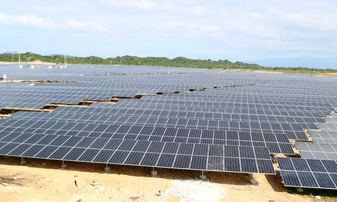 Năng lượng Bắc Phương trả lãi cho lô trái phiếu có giá trị phát hành hơn 1.700 tỷ đồng