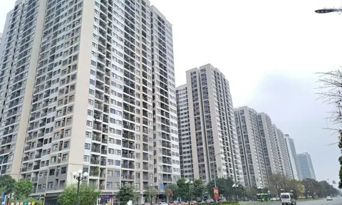 Giá căn hộ chung cư tại Hà Nội đang diễn biến thế nào?