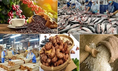 Xuất khẩu nông lâm thủy sản Việt Nam đạt hơn 45 tỷ USD trong 8 tháng
