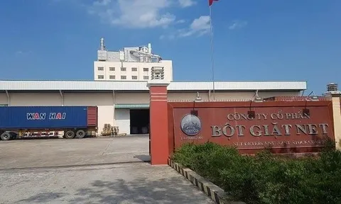 Bột giặt NET sắp chi hơn 145 tỷ đồng trả cổ tức với tỷ lệ 65%