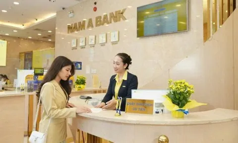 7 nhà đầu tư dự mua 100 triệu cổ phiếu riêng lẻ của Nam A Bank