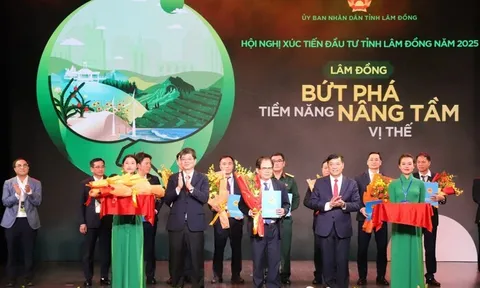 Hóa chất Đức Giang được 'mở đường' làm dự án bô xít hơn 2 tỷ USD