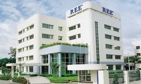 REE dồn vốn hơn 1.800 tỷ lập hai công ty con về năng lượng tái tạo