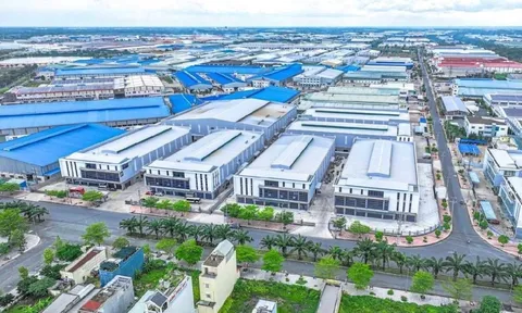 Một công ty bất động sản KCN báo lãi quý 3/2025 giảm 70%, cổ phiếu giảm kịch sàn