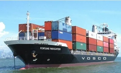 Công ty vận tải biển báo lãi 'khủng' bất ngờ