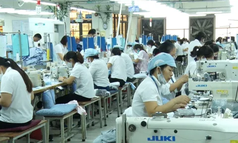 Ngành dệt may tăng trưởng khởi sắc giữa bão thách thức toàn cầu năm 2025