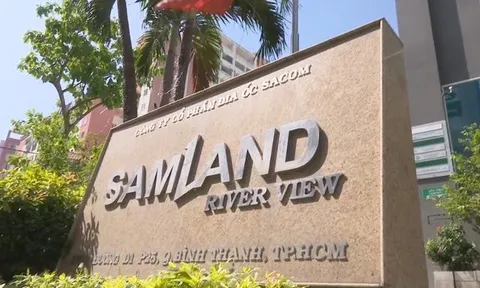 Samland lãi 200 triệu đồng trong quý 3