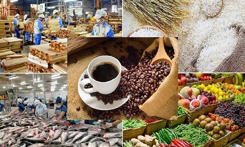 Việt Nam xuất siêu gần 20 tỷ USD sau 10 tháng