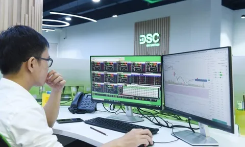 Chứng khoán DSC bị HoSE nhắc nhở do chậm công bố thông tin