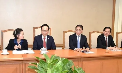 THACO công bố 108 nhà đầu tư nước ngoài nắm 26,8% vốn điều lệ, JC&C của Singapore nắm 26,6%, có nhiều tên cá nhân Hàn Quốc