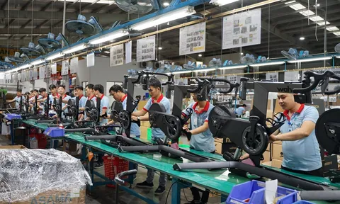 Tín hiệu tích cực về PMI của Việt Nam trong tháng 11