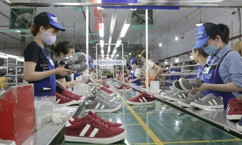 Cổ phiếu GTD tăng trần 11 phiên liên tiếp, Giầy Thượng Đình nói gì?