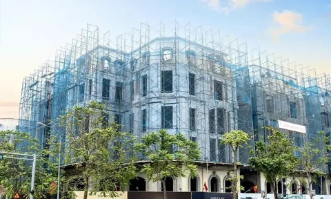 Tập đoàn Sunshine (HNX: KSF): Chủ tịch Đỗ Anh Tuấn và em trai sẽ nhận hơn 10 tỷ đồng thù lao cho năm 2025