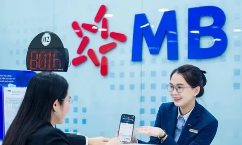 MB dự chi hơn 20.000 tỷ đồng trả cổ tức, lên kế hoạch tăng vốn khủng