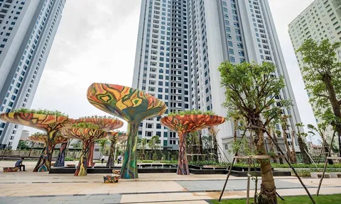 Việt Hân củng cố nền tảng tài chính, giảm áp lực đòn bẩy