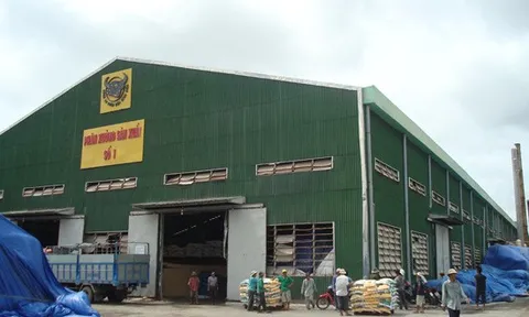 Phân bón Bình Điền (BFC): Bị phạt và truy thu hơn 3,6 tỷ đồng tiền thuế, vay nợ tăng vọt 77%