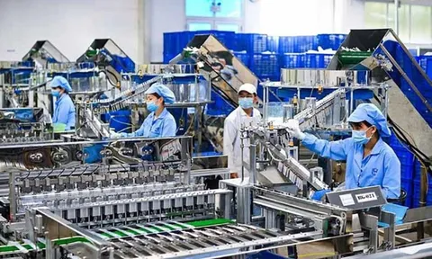 Hơn 119,4 nghìn doanh nghiệp thành lập mới, quay trở lại hoạt động trong 4 tháng