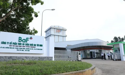 BAF Việt Nam (BAF) sắp phát hành 60,8 triệu cổ phiếu cho cổ đông hiện hữu