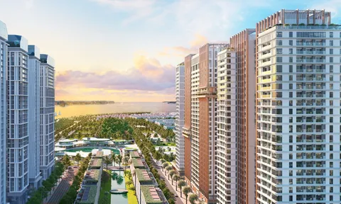 Hội tụ ba giá trị sống – nghỉ dưỡng – đầu tư, Sun Elite City khẳng định vị thế trung tâm Bãi Cháy