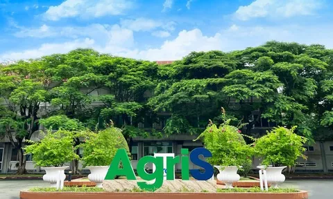 AgriS phát hành gần 1.000 tỷ đồng trái phiều chuyển đổi để cơ cấu nợ