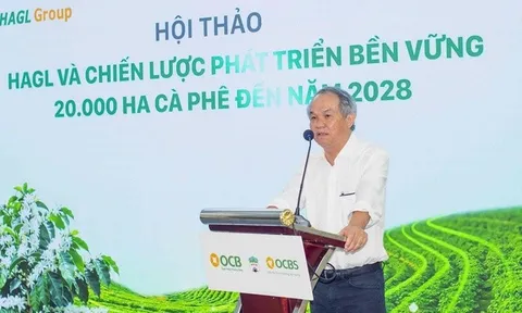 Bầu Đức muốn ‘gom’ thêm 4 triệu cổ phiếu HAG