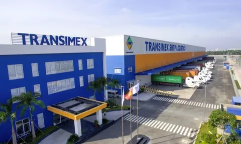 Transimex tiếp tục đăng ký mua vào 1 triệu cổ phiếu VNF