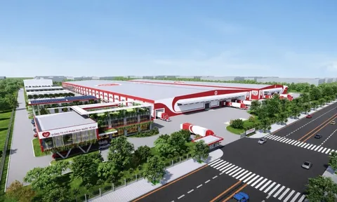 Sữa Quốc tế LOF (IDP) lãi hơn 224 tỷ đồng, đảo chiều sau một năm thua lỗ
