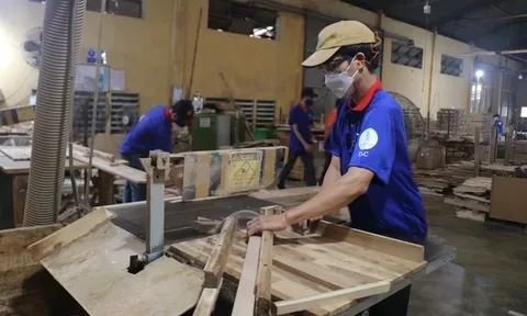 Gỗ Thuận An: Giảm vay nợ, lợi nhuận tăng vọt