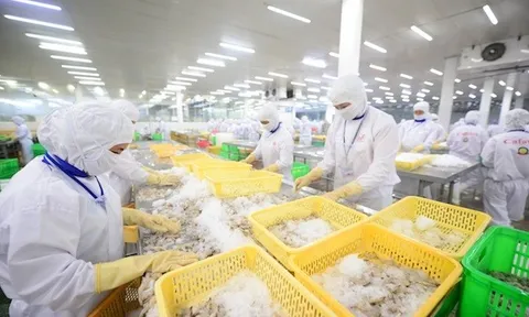 Doanh nghiệp thuỷ sản đẩy mạnh xuất khẩu, hướng đến mốc 10 tỷ USD