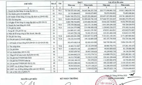 Petrolimex báo lỗ kinh doanh xăng dầu dù doanh thu lên tới 3 tỷ USD