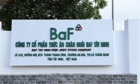 BAF Việt Nam: Liên tiếp thâu tóm 7 DN chăn nuôi trong hơn 1 tháng