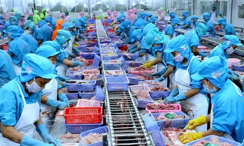 Doanh nghiệp thủy sản tăng tốc trước rào cản thuế từ Mỹ
