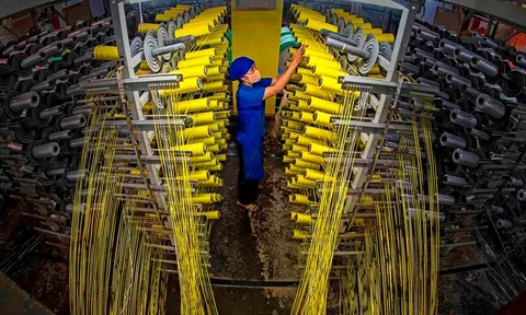 Dệt may Việt Nam tìm hướng đi bền vững giữa áp lực chuỗi cung ứng