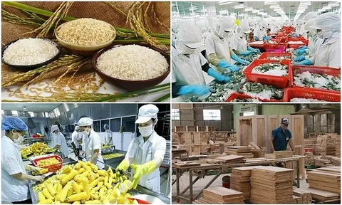 Nông, lâm, thủy sản xuất khẩu đạt 28 tỷ USD sau 5 tháng